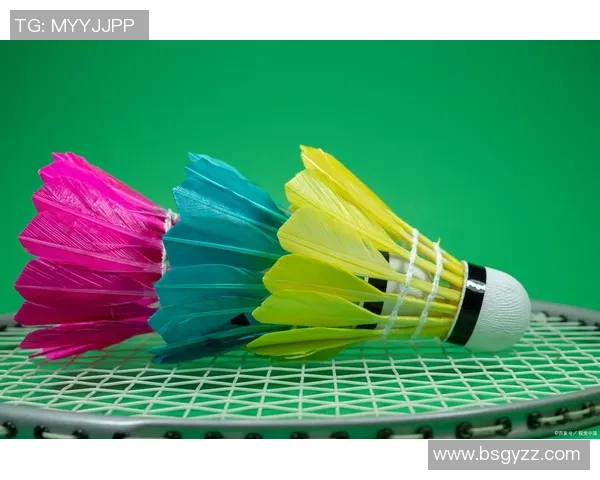 陈伟独家分享羽毛球技巧与心得助你提升竞技水平与乐趣